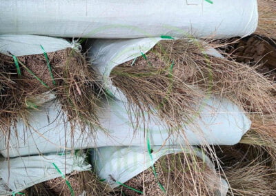 palm broom stick 4
