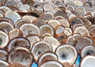 regular copra dry