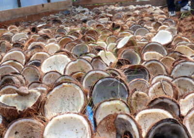regular copra process