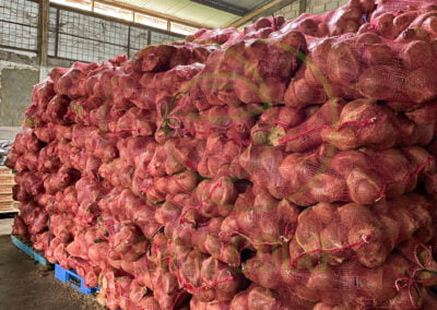 semi husked coconut export