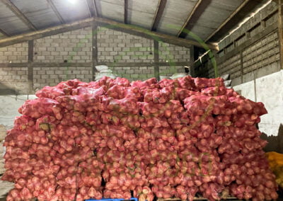 semi husked coconut supplier