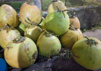 sweet coconut 3