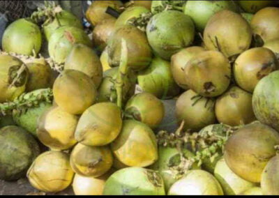 sweet coconut 4
