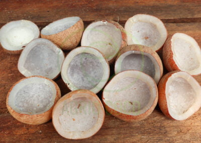 white copra
