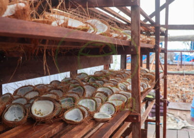 white copra supplier